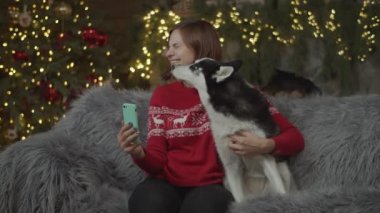 Kırmızı kazaklı esmer kadın Sibirya Husky 'siyle selfie çekiyor. Kanepede, Noel süslemesi yavaş çekimde ve arkasında bulanık ışıklar var.. 