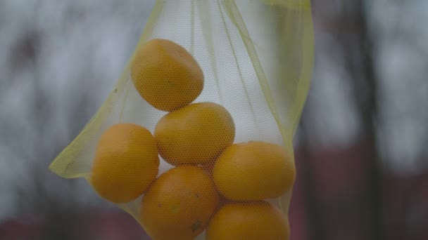 Close-up van milieuvriendelijke tas met mandarijnen in het najaarspark in slow motion. Niet-plastic verpakkingen voor levensmiddelen redden de planeet. — Stockvideo