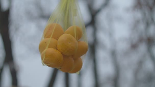 Gros plan du sac écologique avec des mandarines dans le parc d'automne au ralenti. Emballage non plastique pour les aliments sauver la planète . — Video