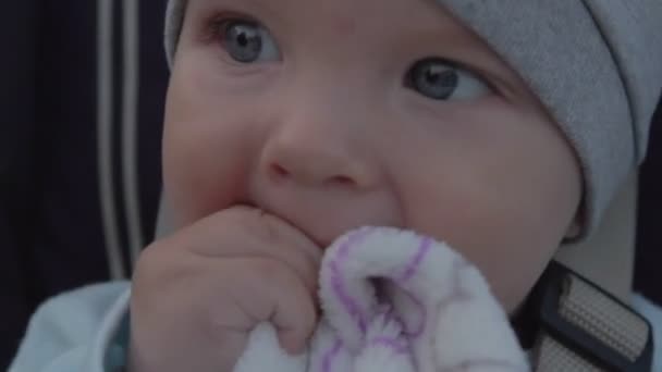 Portrait of newborn baby boy chewing blanket sitting in the stroller. — Stock Video