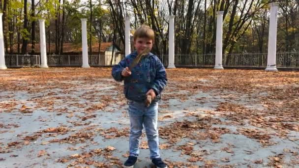 Peuter jongen staat op in het midden van de herfst park met gele bladeren op de grond. Jongen drummen met boomstokken en glimlachen. — Stockvideo