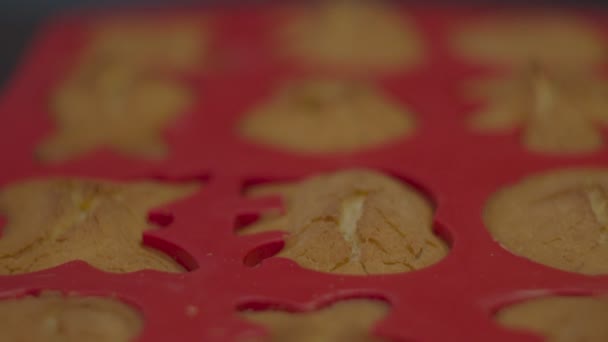 Zamknij się w kształcie zwierzęcia ciasteczka w czerwonym silikonowym naczyniu do pieczenia. Gotowane herbatniki bezglutenowe i bezglutenowe. — Wideo stockowe