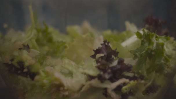 Gros plan de Quinoa volant dans un bol en verre avec salade fraîche avec tomates et poulet au ralenti. Processus de fabrication de salade . — Video