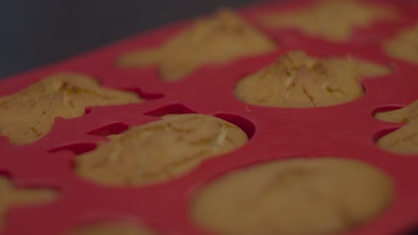Close up de biscoitos em forma de animal em assadeira de silicone vermelho. Biscoitos sem glúten e sem açúcar cozidos . — Vídeo de Stock