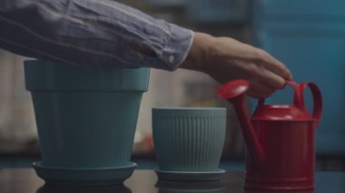 Kırmızı sulama tenekesini alan ve saksıyı yavaş çekimde sulayan kadın eller. Bitki nakli işlemi tamamlandı. 