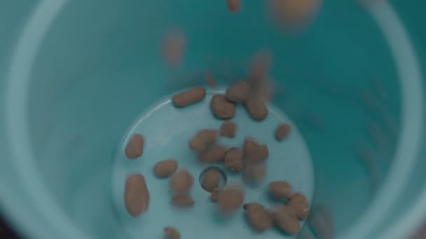 Close-up van vallende drainage stenen en gemalen in blauwe bloempot, bovenaanzicht in slow motion. — Stockvideo
