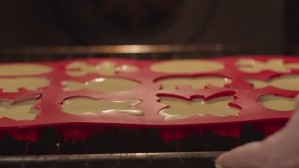 Assadeira de silicone vermelho cheio de glúten e massa sem açúcar entrando no forno em câmera lenta. Biscoito em forma de animal no forno . — Vídeo de Stock