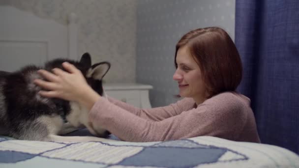Молодая брюнетка владелица собаки играет с домашним животным, лежащим на кровати. Черно-белый сибирский хаски играет с улыбчивой женщиной . — стоковое видео