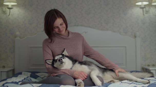 Young brunette female sitting on the bed with dog lying on her legs. Woman petting Siberian Husky on the bed in slow motion. — Stock Video