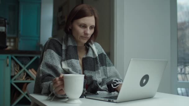 Ung kvinna i filt sitter vid skrivbordet med laptop. Kvinnligt drickande varmt dricka kaffe eller te och arbetar på datorn — Stockvideo