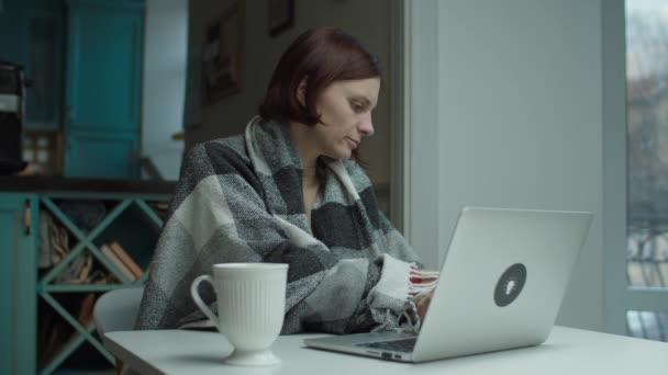Young woman in blanket sitting at desk distracting with cell call while using laptop. Female talking by phone and working on computer — Stock Video