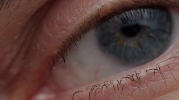 Macro close up of human blue eye with moving iris. Opening and closing human eye in slow motion. — Stock Video