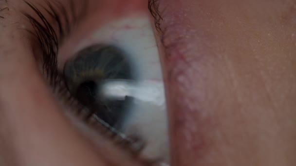 Macro close up of human blue eye with moving iris. Opening and closing human eye in slow motion. — Stock Video