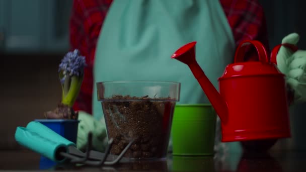 Mão feminina em luva tomando regador vermelho e regando chão em vaso de flores transparente em câmera lenta. Processo de plantação doméstica . — Vídeo de Stock