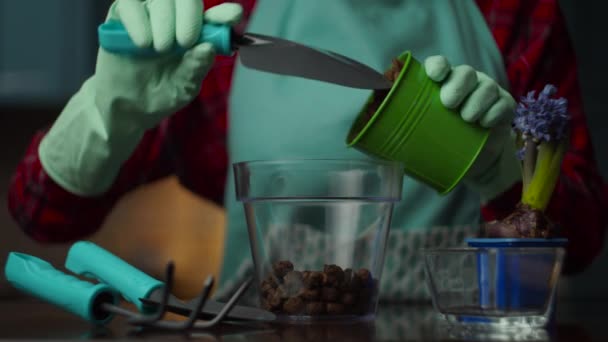 Mão feminina em luva tomando panela com chão e jogando-o para vaso de flores transparente em câmera lenta. Processo de plantio doméstico. Movendo a flor em vaso — Vídeo de Stock