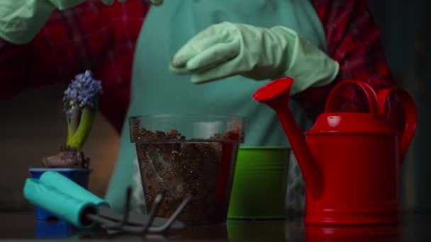 Mano femminile in guanto in movimento fiore a nuovo vaso di fiori al rallentatore. Processo di impianto domestico. Pentola trasparente con terra e pietre — Video Stock