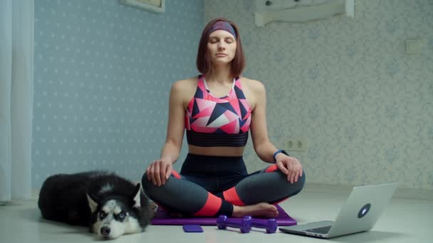 Fiatal, 30-as éveiben járó nő sportruházatban jógázik és meditál fitneszszőnyegen, a közelben szibériai husky kutyával. Nő csinál otthon jóga gyakorlatok lassított felvételen, kisállat feküdt a közelben. — Stock videók