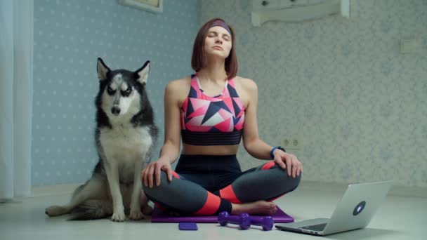 Fiatal, 30-as éveiben járó nő sportruházatban jógázik és meditál fitneszszőnyegen, a közelben szibériai husky kutyával. Nő csinál otthon jóga gyakorlatok lassított felvételen, kisállat feküdt a közelben. — Stock videók