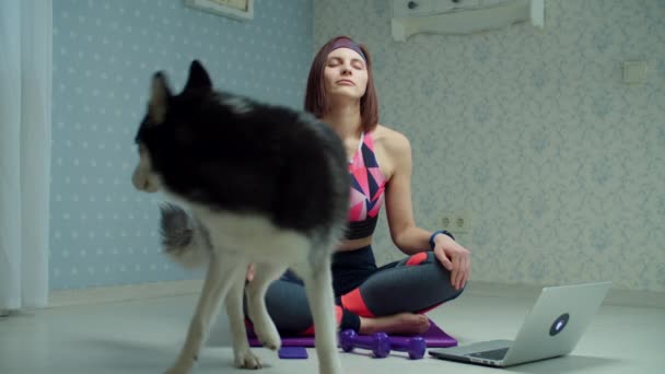 Giovane donna anni 30 in abbigliamento sportivo facendo esercizi di yoga e meditazione sul tappeto fitness e siberiano Husky cane interrompendola a casa. Donna che fa esercizi di yoga a casa con animale domestico al rallentatore . — Video Stock