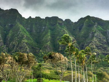 hawaii mountains in rainy day