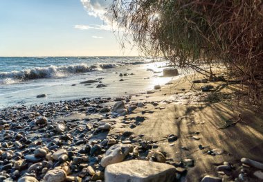 Sahilin güzel kıyıları.