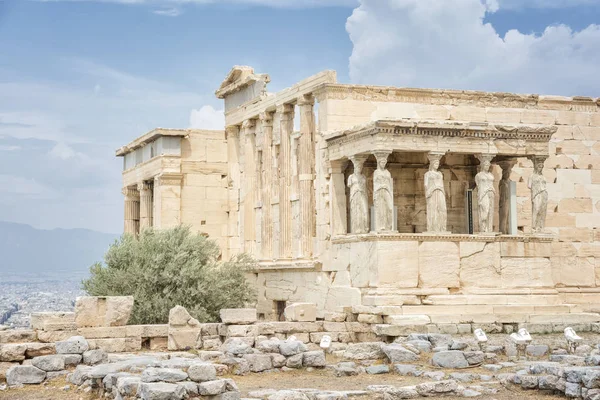 Erechtheion на Акрополь Афін — стокове фото