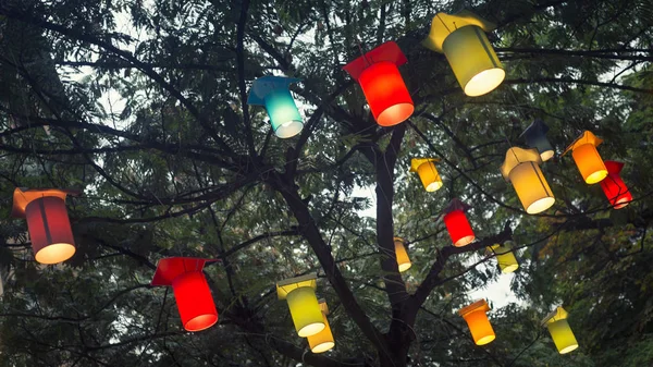 Декоративные огни, висящие на дереве — стоковое фото