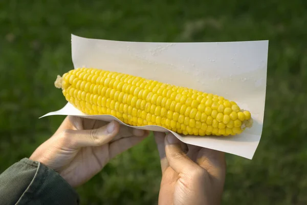 Руки тримають варену кукурудзу — стокове фото