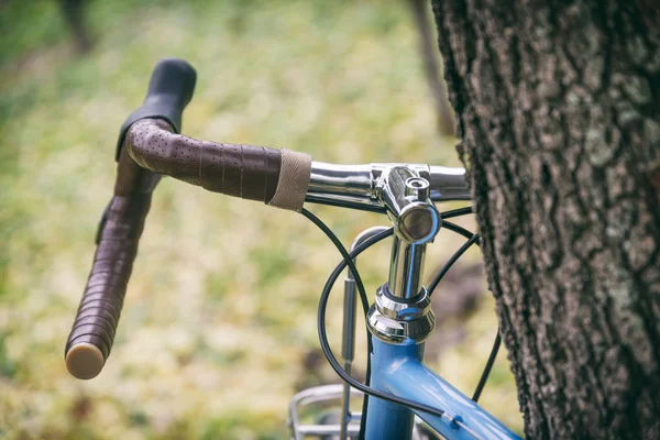 木に寄りかかって自転車 — ストック写真