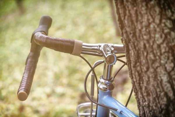 Велосипед Дереві — стокове фото