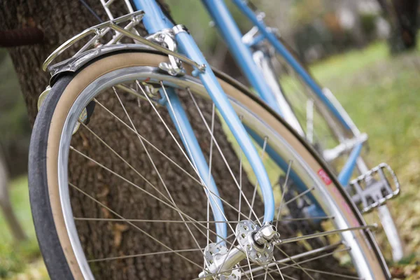 Bicicleta Azul Apoyada Árbol —  Fotos de Stock