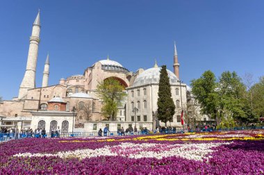 Istanbul, Türkiye, 19 Nisan 2018: Dünya'nın en büyük halı Lale Ayasofya, turistlerin her gün binlerce çeken Istanbul 'un ünlü dönüm noktası önünde.