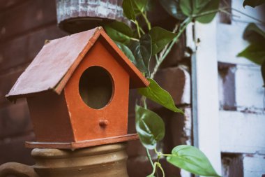 El yapımı bir kuş evinin Yakın Çekimi 