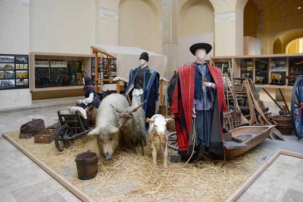 Budapest Ungarn Juli 2015 Präsentation Des Landwirtschaftlichen Lebens Ungarischen Landwirtschaftsmuseum — Stockfoto