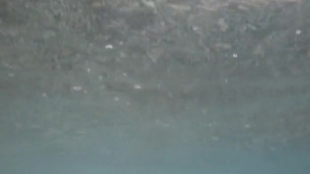 Море под водой — стоковое видео