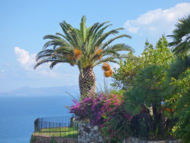 Manzara Gioiosa Marea, Sicilya