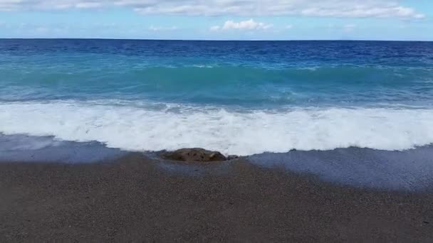 Морські хвилі на пляжі — стокове відео