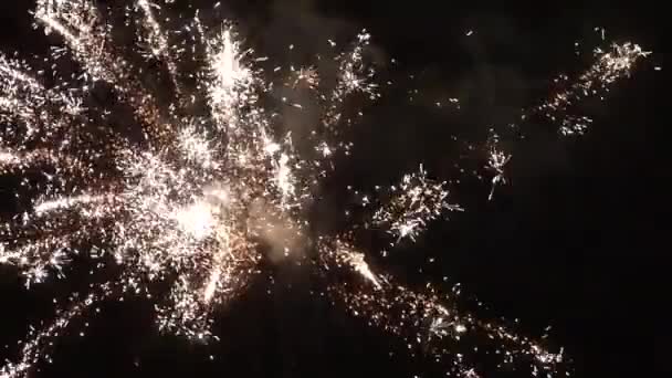 Nieuwjaar vuurwerk op nachtelijke hemel — Stockvideo