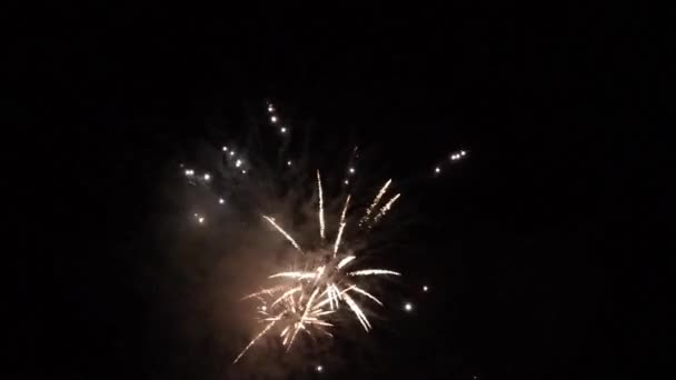 Fuochi d'artificio di anno nuovo su cielo di notte — Video Stock