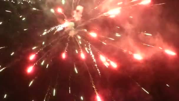 Fogos de artifício de Ano Novo em céu noturno — Vídeo de Stock