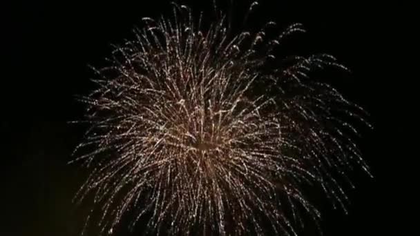 Gece gökyüzünde yeni yıl havai fişekleri — Stok video