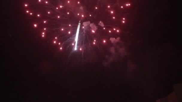 ดอกไม้ไฟปีใหม่บนท้องฟ้ากลางคืน — วีดีโอสต็อก