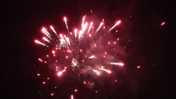 Gece gökyüzünde yeni yıl havai fişekleri — Stok video