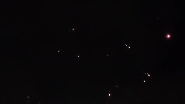 Nouvel an feux d'artifice sur le ciel nocturne — Video