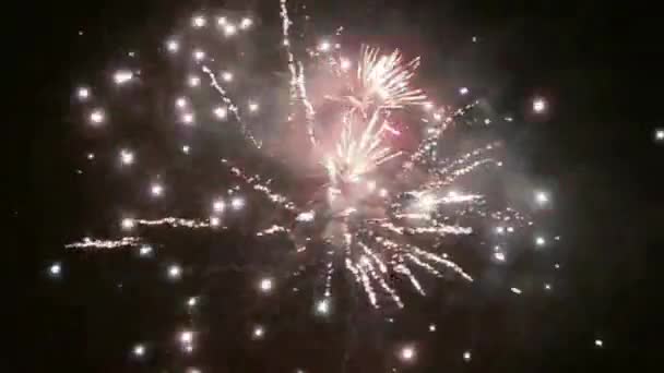 Nouvel an feux d'artifice sur le ciel nocturne — Video