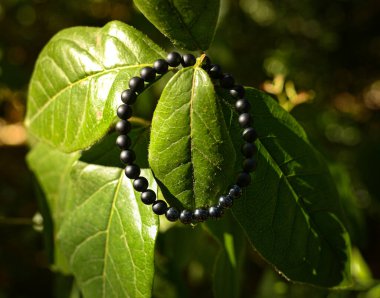 Doğrudan güneş ışığında bileklik fotoğrafı, yeşil yaprak arkaplan