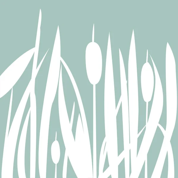 Reed Floral Sans Couture Motif Fond Illustration Vectorielle — Image vectorielle