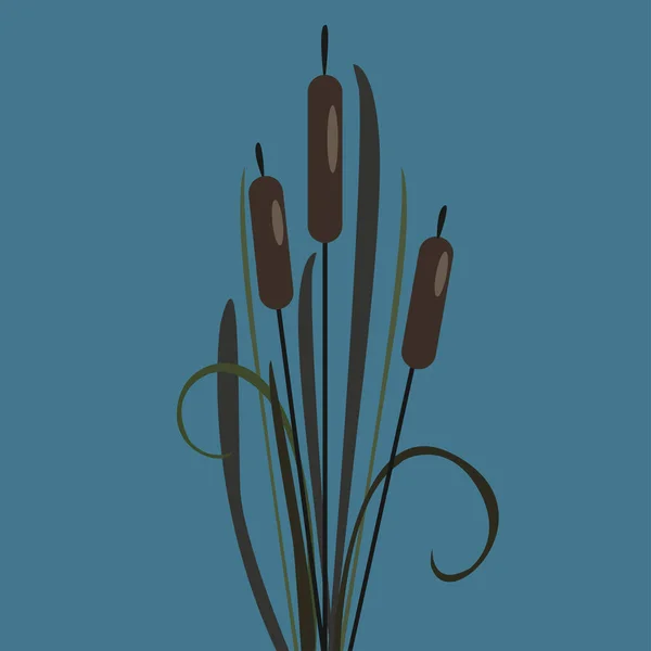Reed Floral Sans Couture Motif Fond Illustration Vectorielle — Image vectorielle