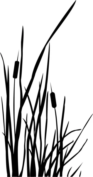 Reed Floral Sans Couture Motif Fond Illustration Vectorielle — Image vectorielle