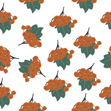 Çilekli, çiçeksiz desen, arka planda. Vektör illüstrasyonu 